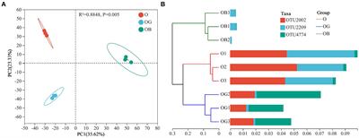 Rhizobacterial diversity, community composition, and the influence of keystone taxa on O’Neal blueberry (Vaccinium corymbosum)